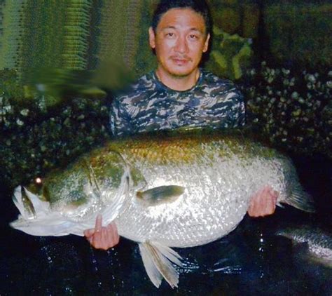 Dear anglers who will come to Susaki for AKAME (Japanese .
